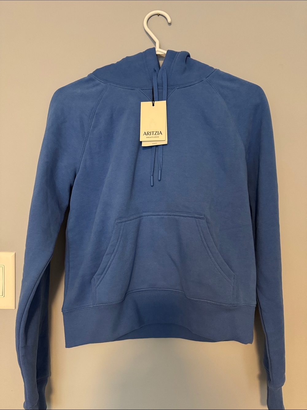 Aritzia Snug Raglan